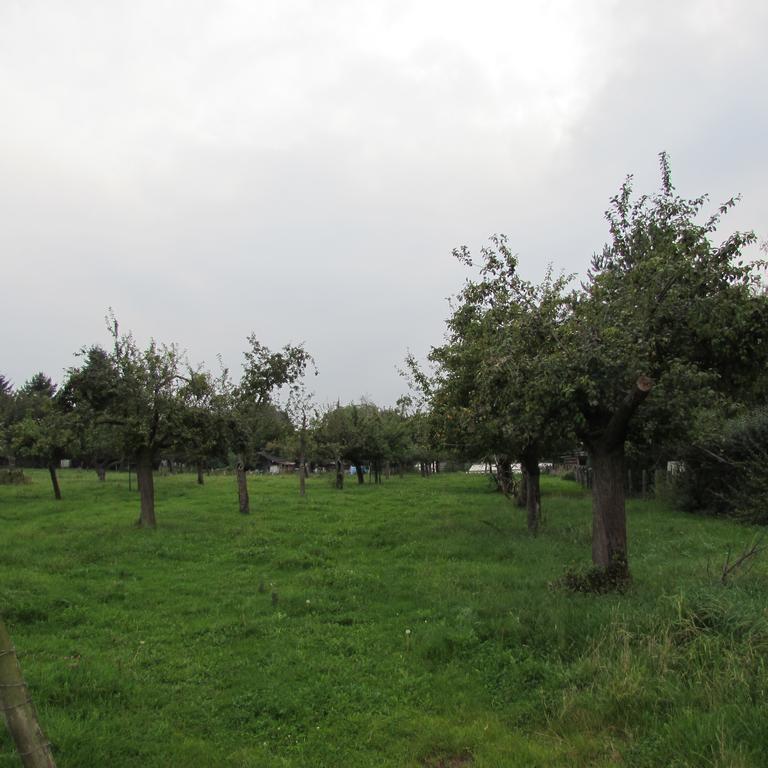 Eifel-Landhaus Ferienwohnungen "Em Gardestueffje" Mechernich Εξωτερικό φωτογραφία